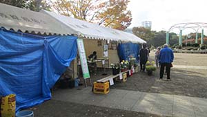 �N���b�N���Ċg��